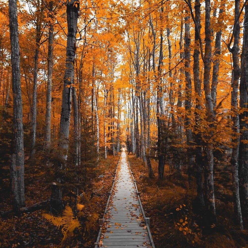 Meet your Posher, Kat